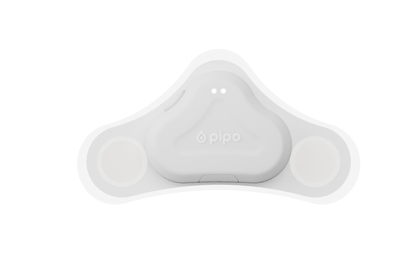 Pipo